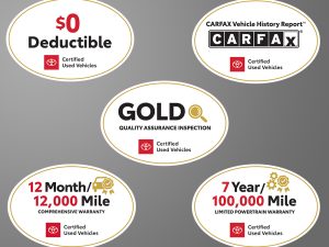 CS12158 Gold Magnets