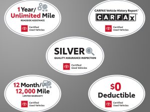 CS12164 Silver Magnets